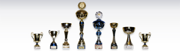 Награды Ameli Награды Ameli
